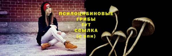 mdpv Майский