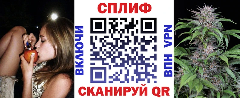 Бошки марихуана ГИДРОПОН  Купить закладки  Новодвинск 
